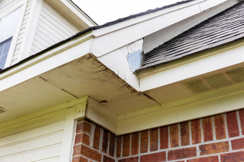 Garage Fascia Repair in Conroe, TX