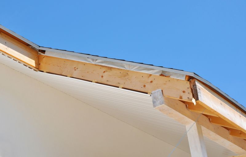 Soffit Damage Repair in Conroe, TX